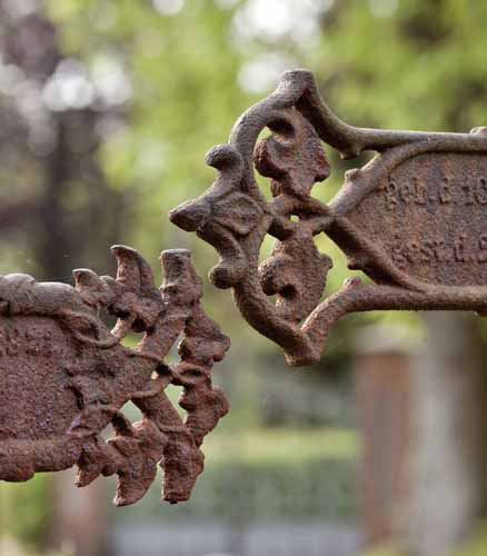 Bild Detail auf dem Friedhof